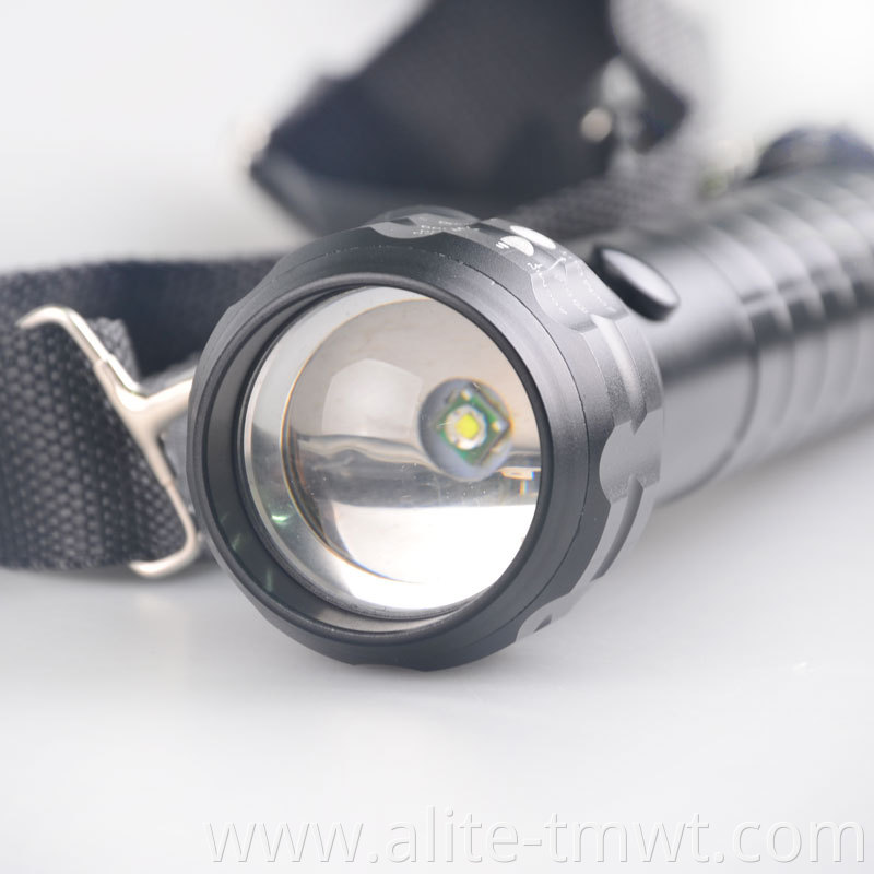 Free shipping XP-E Q5 LED Photo Lamp D Size Battery Metal Reflector Zoom Big Lantern Flashlight Torch